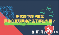 IP代理中的IP地址具体在互联网中产生了哪些作用？