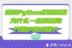 爬虫Python数据采集为什么一定要利用代理IP技术呢？