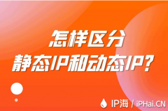 怎样区分静态IP和动态IP？