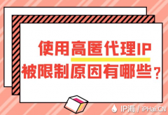 使用高匿代理IP被限制原因有哪些？