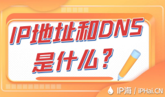 IP地址和DNS是什么？