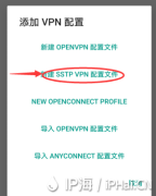 SSTP连接IP代理设置教程